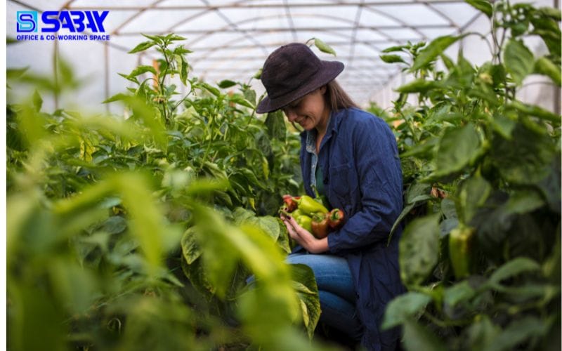 Hợp tác xã có tư cách pháp nhân không?