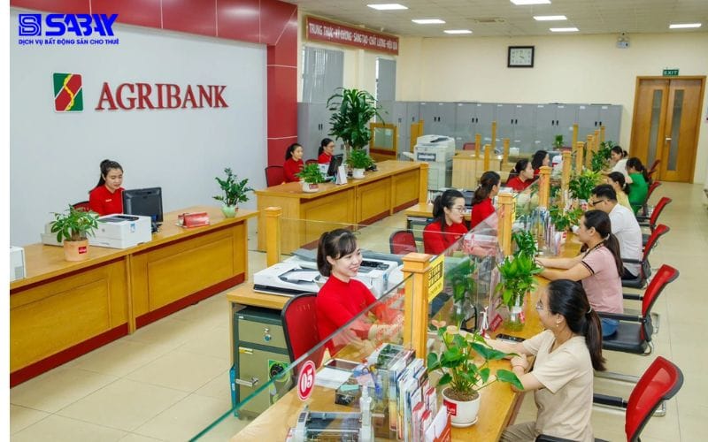 Top 6 ngân hàng vay tín chấp cho doanh nghiệp mới thành lập 5 Ngân hàng Agribank