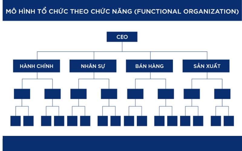 Sơ đồ tổ chức công ty là gì? 6 mô hình sơ đồ tổ chức công ty phổ biến 5 Sơ đồ tổ chức theo chức năng