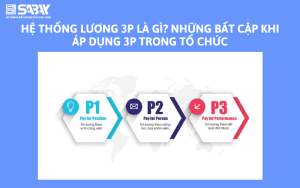 Hệ thống lương 3P là gì? Những bất cập khi áp dụng 3P trong tổ chức